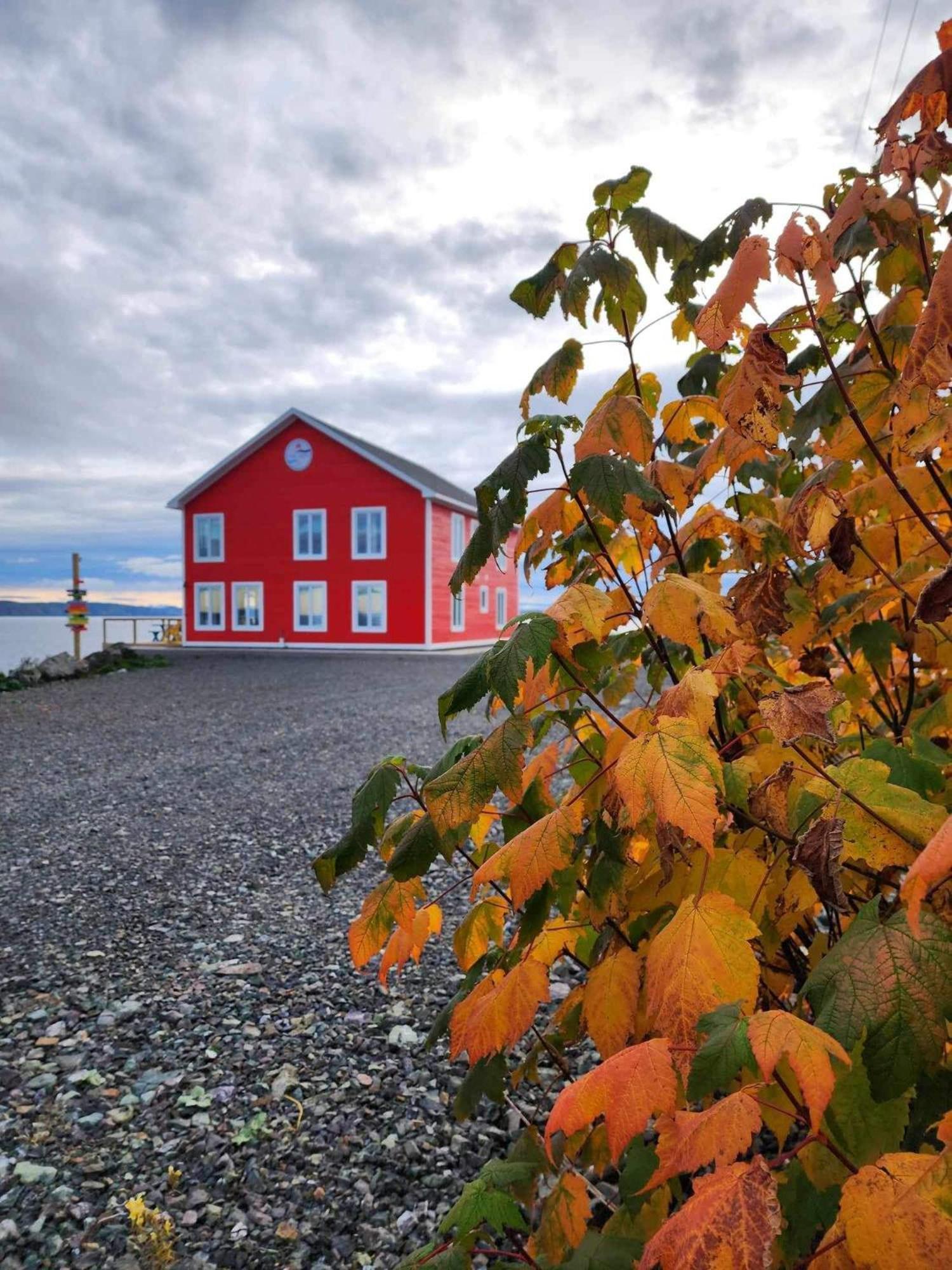 The View Suites And Breakfast In Triton, Newfoundland Pilley's Island 外观 照片