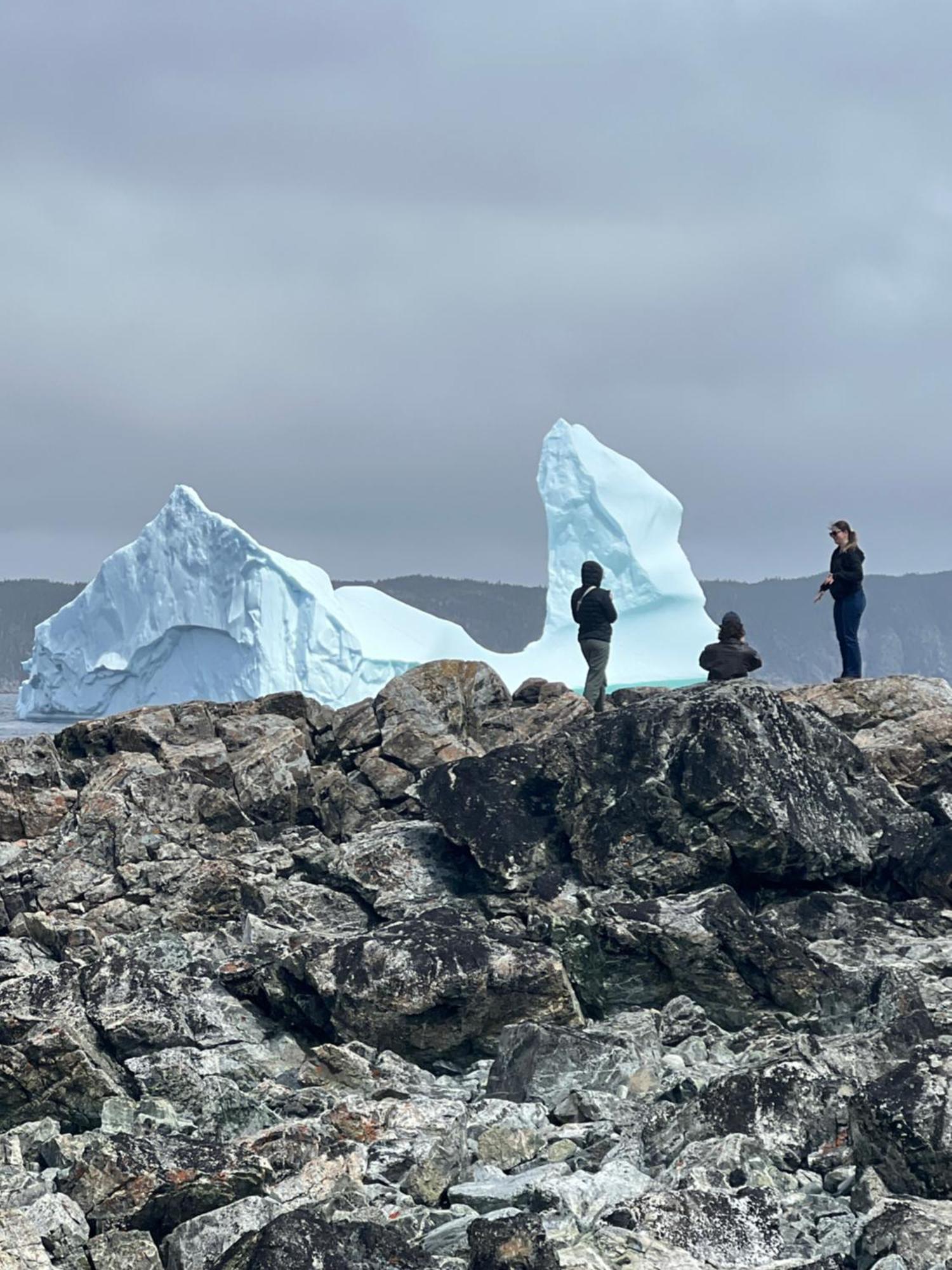 The View Suites And Breakfast In Triton, Newfoundland Pilley's Island 外观 照片