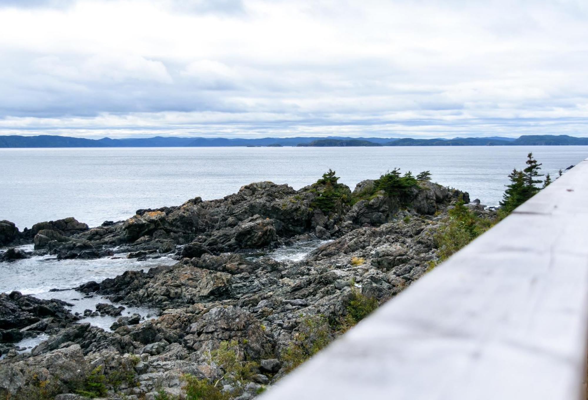 The View Suites And Breakfast In Triton, Newfoundland Pilley's Island 外观 照片